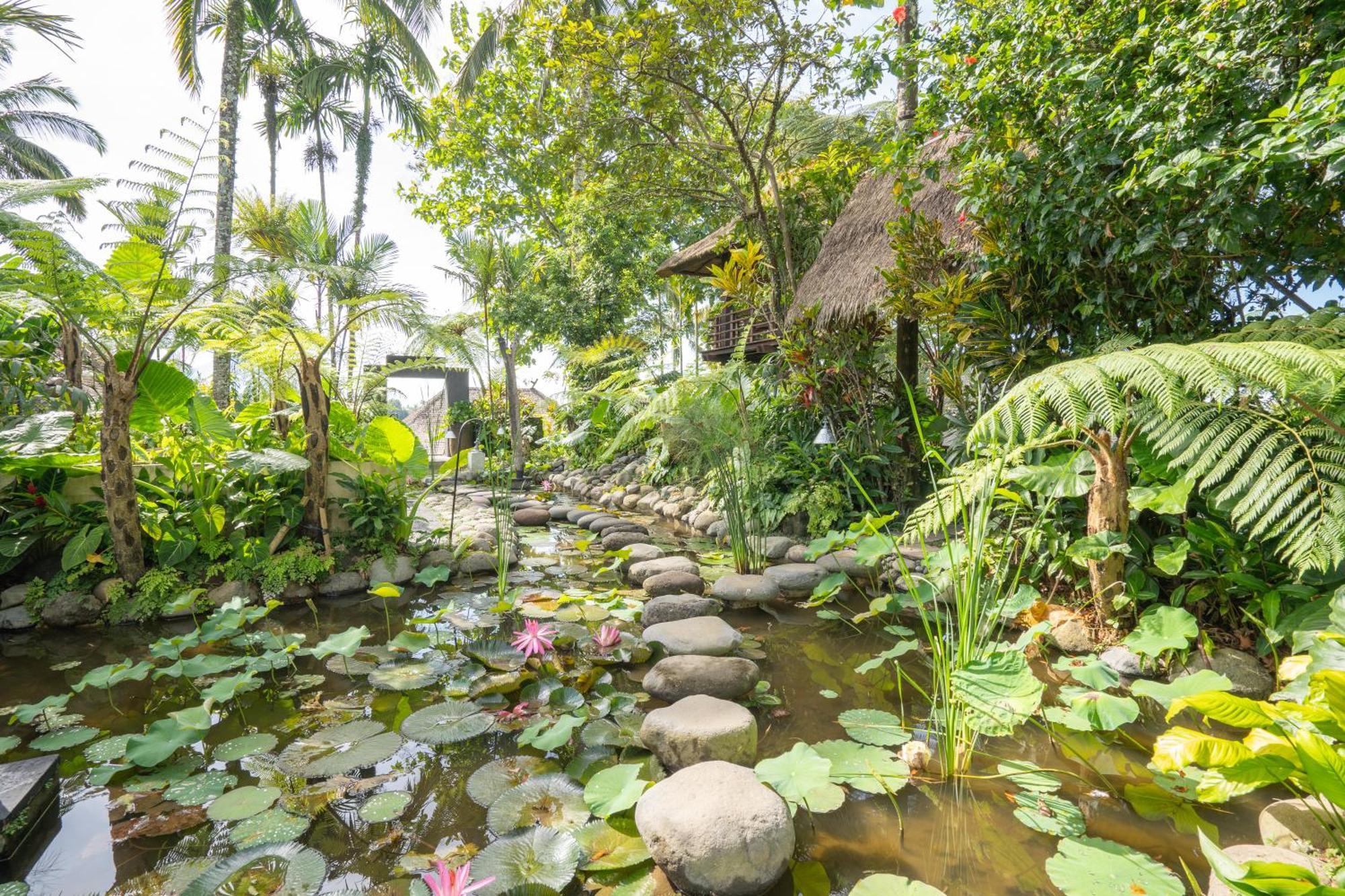 Awan Putih Resort Payangan Exteriör bild